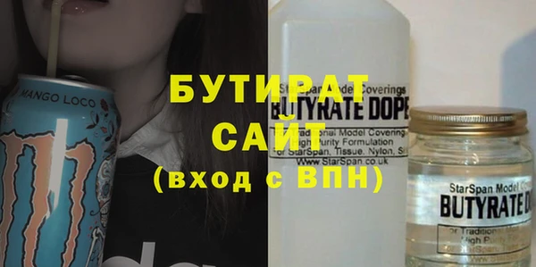 индика Алексин