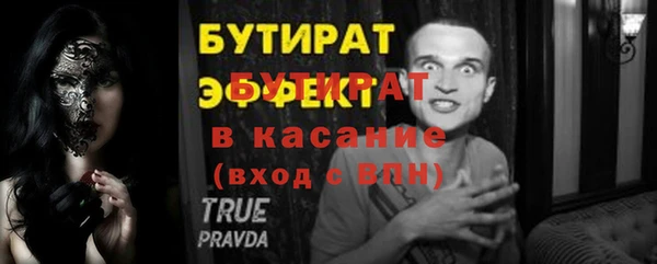 индика Алексин