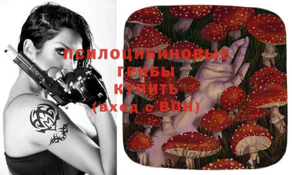 стаф Алексеевка