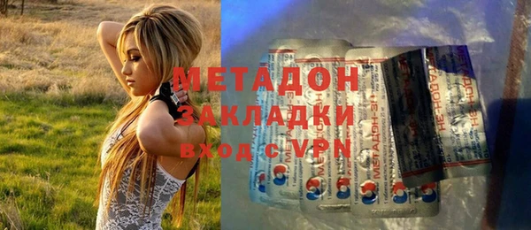 индика Алексин
