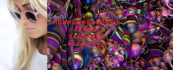 МДПВ Алзамай