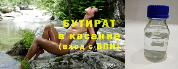 индика Алексин