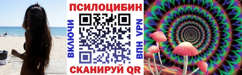 Галлюциногенные грибы Psilocybe  сколько стоит  Красноуральск 