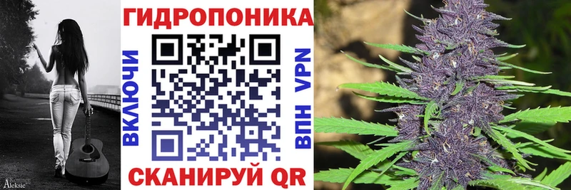 где купить наркоту  Красноуральск  Бошки марихуана VHQ 